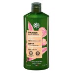 شامپو مو معمولی شیر فندق ایوروشه