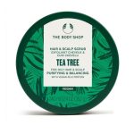 اسکراب سر بادی شاپ حاوی عصاره درخت چای 240 میل